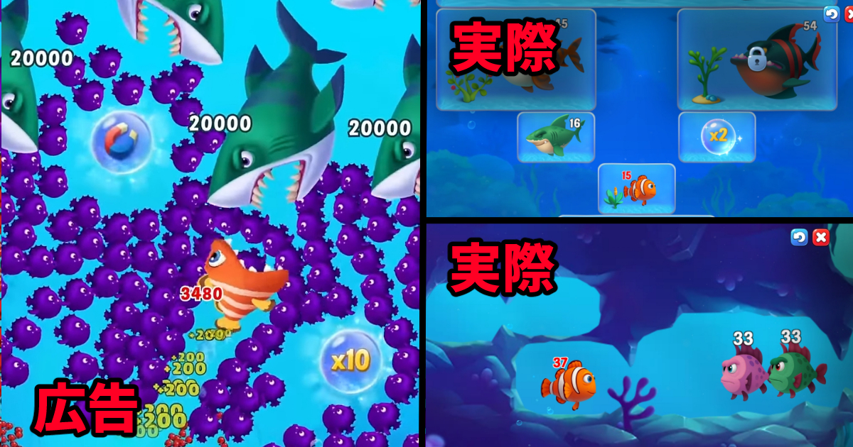 フィッシュダム