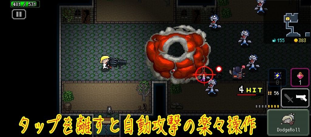 ラズベリーマッシュ