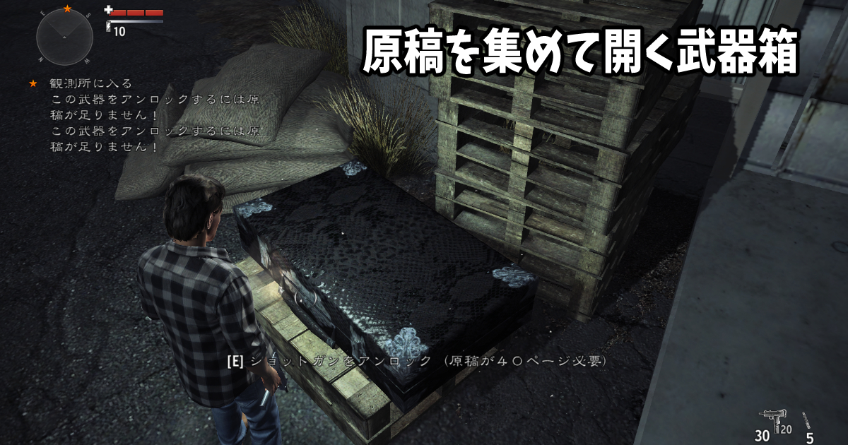 Alan Wake's American Nightmare