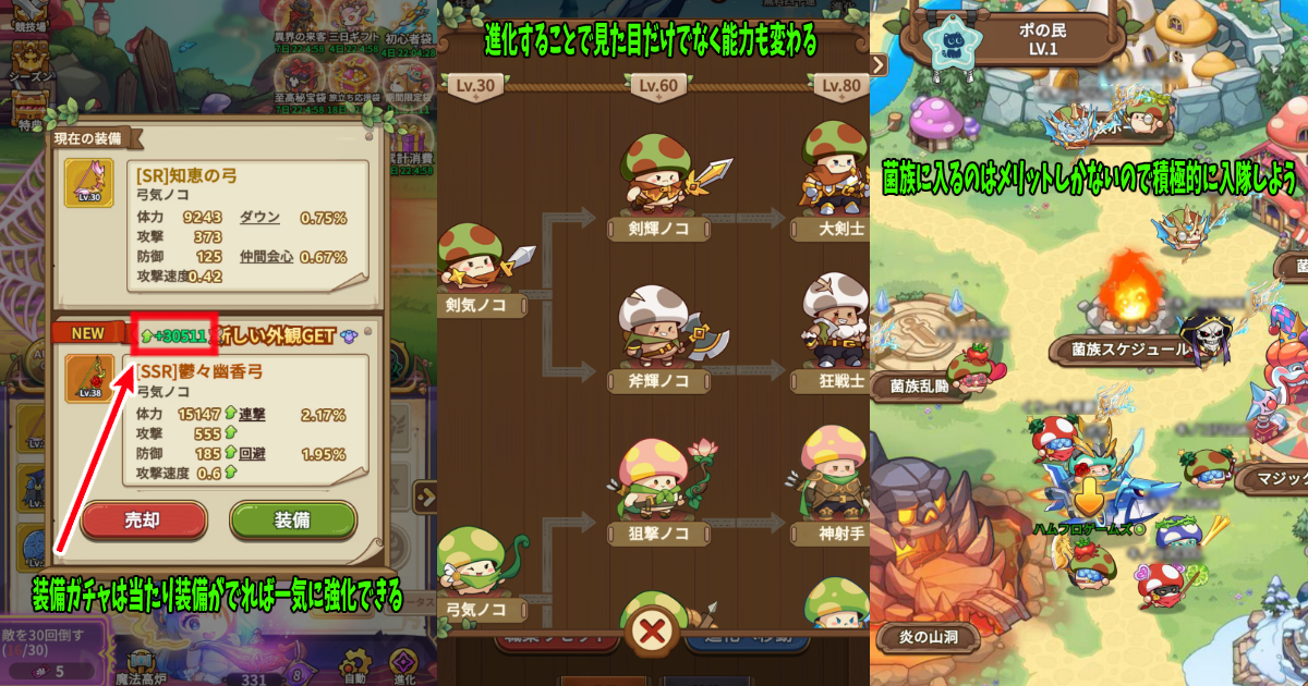 キノコ伝説